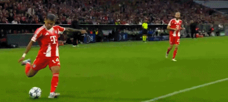 img, gif, kc img, gif, kc