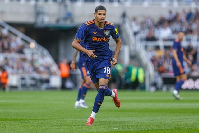 茵激情, 的认同感与, div