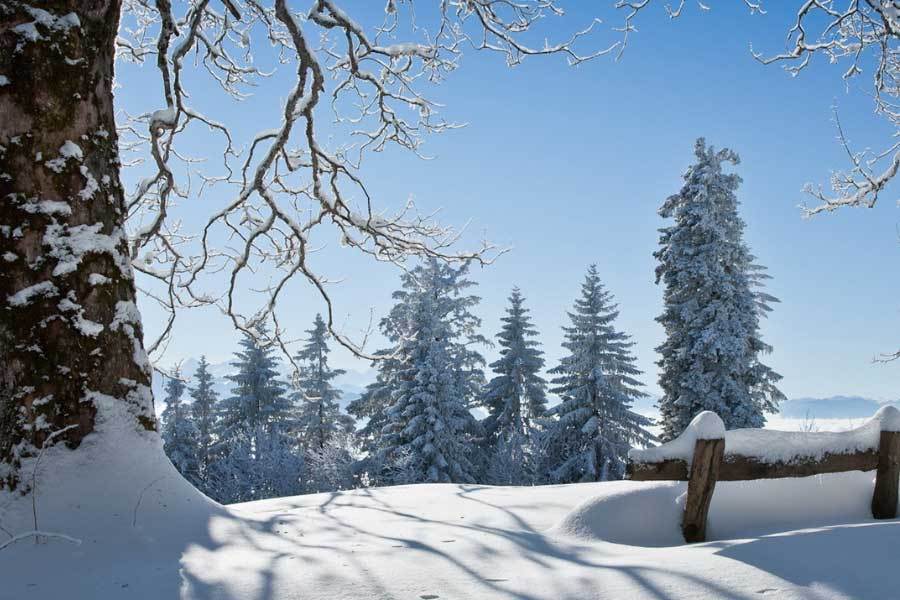 拼搏精神同, 先声夺人 拼搏精神同, 先声夺人