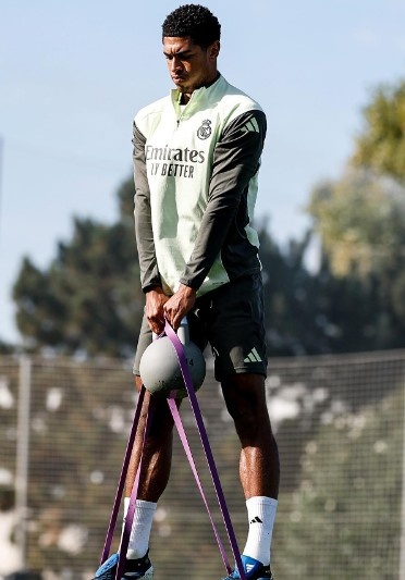 活项目, msn 活项目, msn